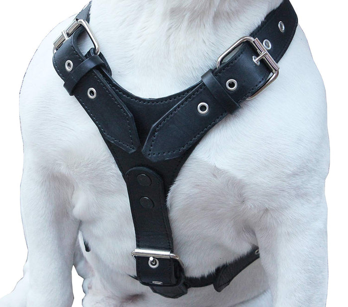 Genuine Leather Dog Harness Large 28"-35" Chest, 1.3" Wide Adjustable Straps