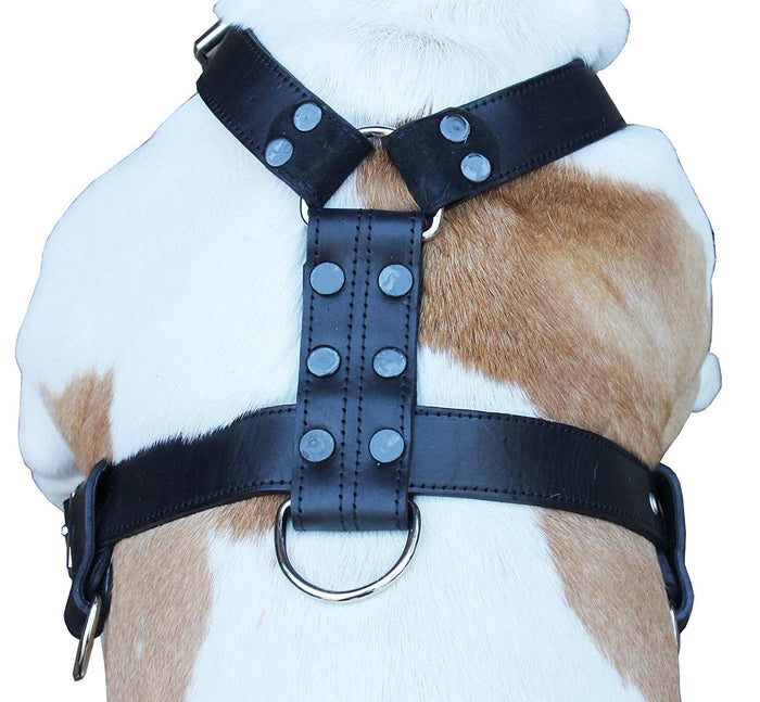 Genuine Leather Dog Harness Large 28"-35" Chest, 1.3" Wide Adjustable Straps