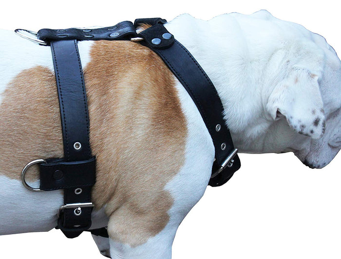 Genuine Leather Dog Harness Large 28"-35" Chest, 1.3" Wide Adjustable Straps