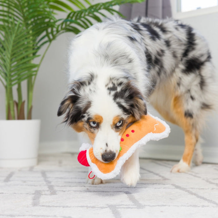 Dog with Gingerbread Bone.