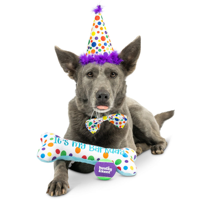 Dog wearing a party hat with a birthday box plush toy featuring Happy Barkday Celebration Box.