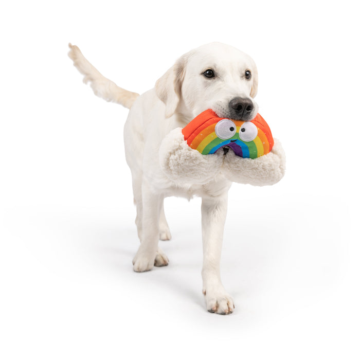 Dog with Happy Rainbow Dog Toy.