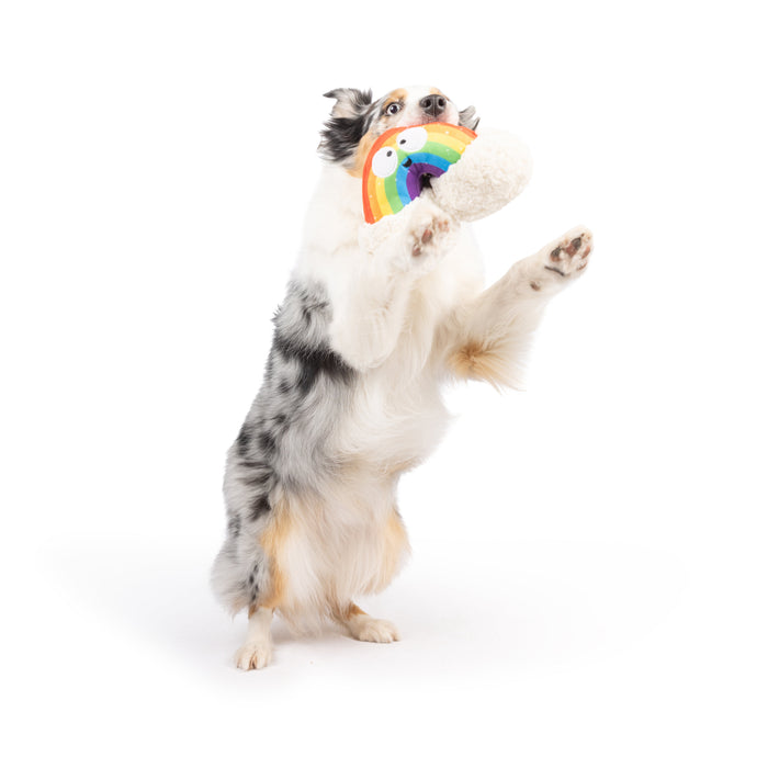 Happy Rainbow Dog Toy