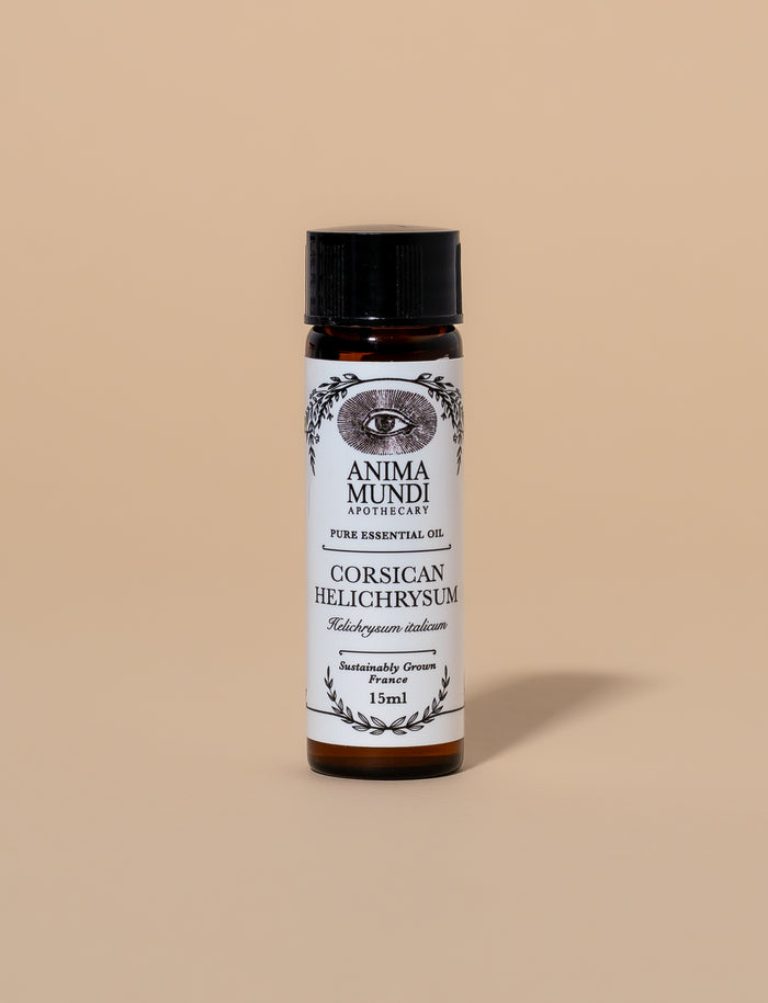 HELICHRYSUM Essential Oil | Sustainably Cultivated, Corsican