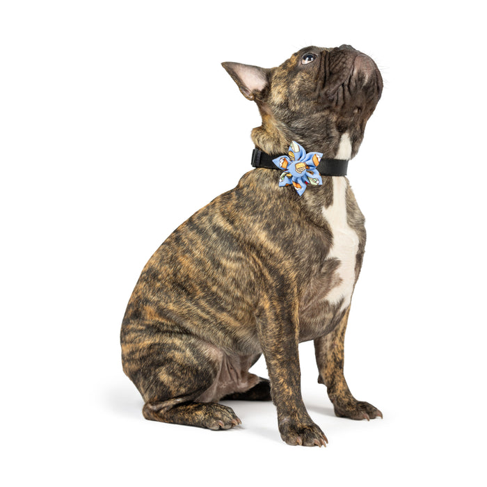 Cat wearing a pie-themed pinwheel accessory featuring I Only Have Pies For You Pinwheel.