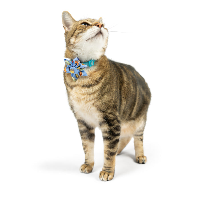 Cat wearing a colorful pie-themed pinwheel accessory featuring I Only Have Pies For You Pinwheel.