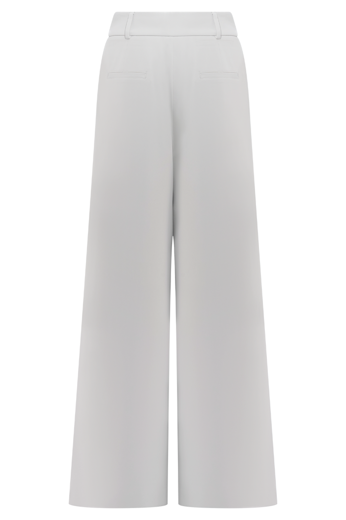 Jameson Pleated Wide Leg Pants - Light Sage