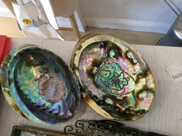 Large Abalone Shell Smudge Tray