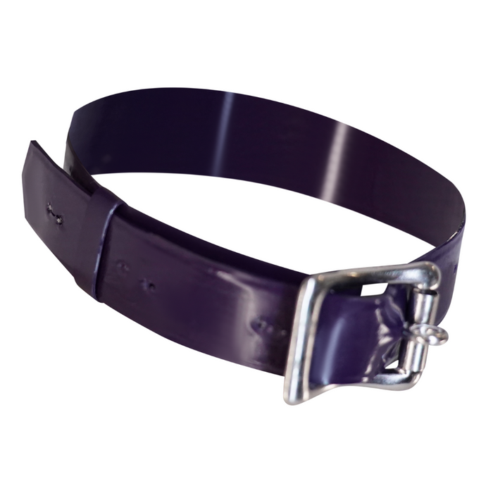 Latch Choker READY TO SHIP Small/Medium / Purple - Vex Inc. | Latex Clothing