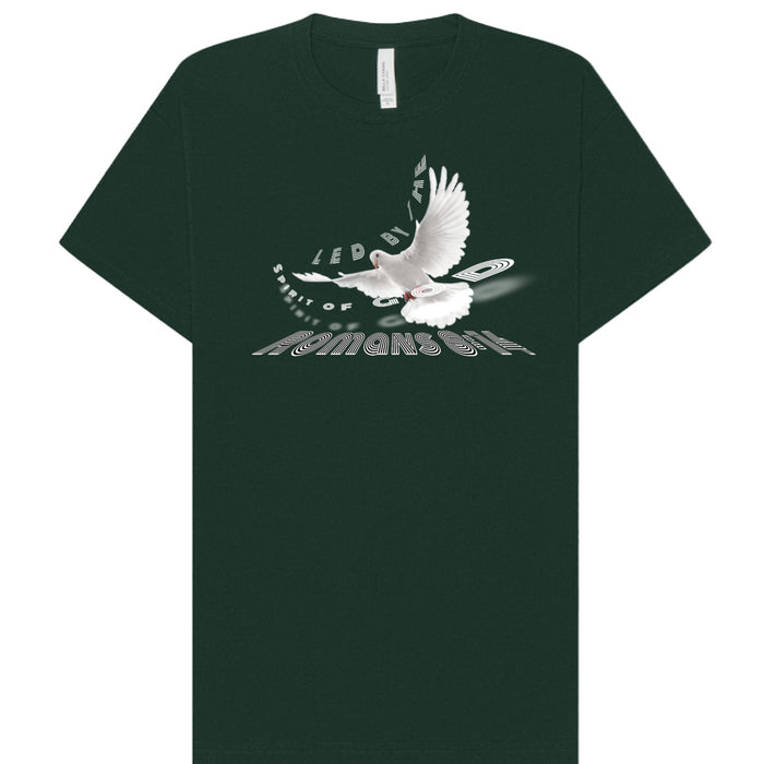 Forest - FRONT