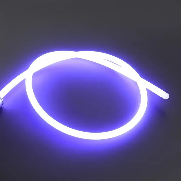 Light Whip