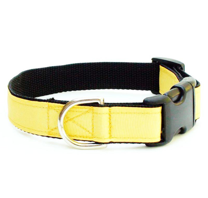 Loft Buttercup Collar
