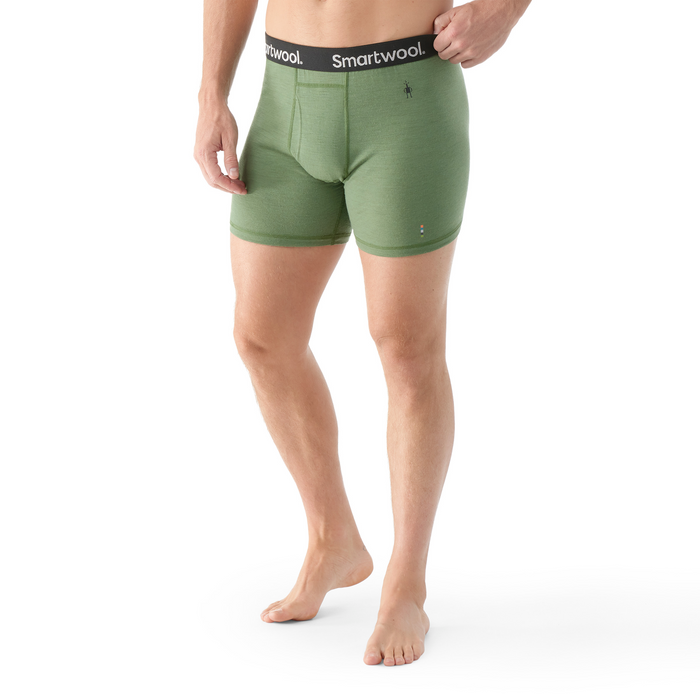 Fern Green / L