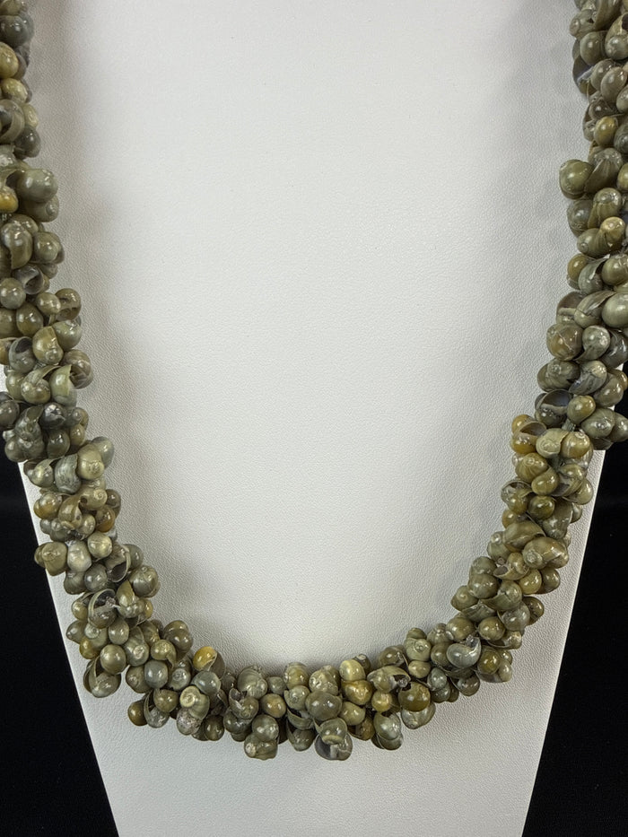 Mongo Shell Lei