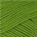 Spring Green 109