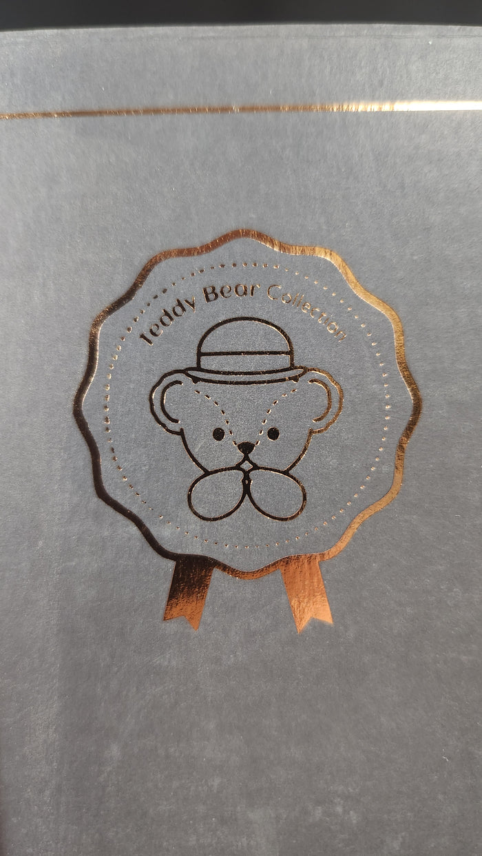 NIB Rolife DIY House Teddy Memorable Classroom