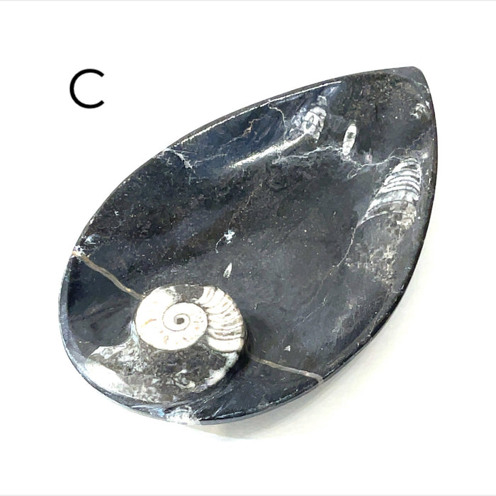 Tear drop #C (5.5'' x 3.5'' 208g)