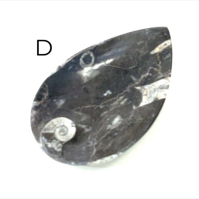 Tear drop #D (5.5'' x 3.5'' 221g)