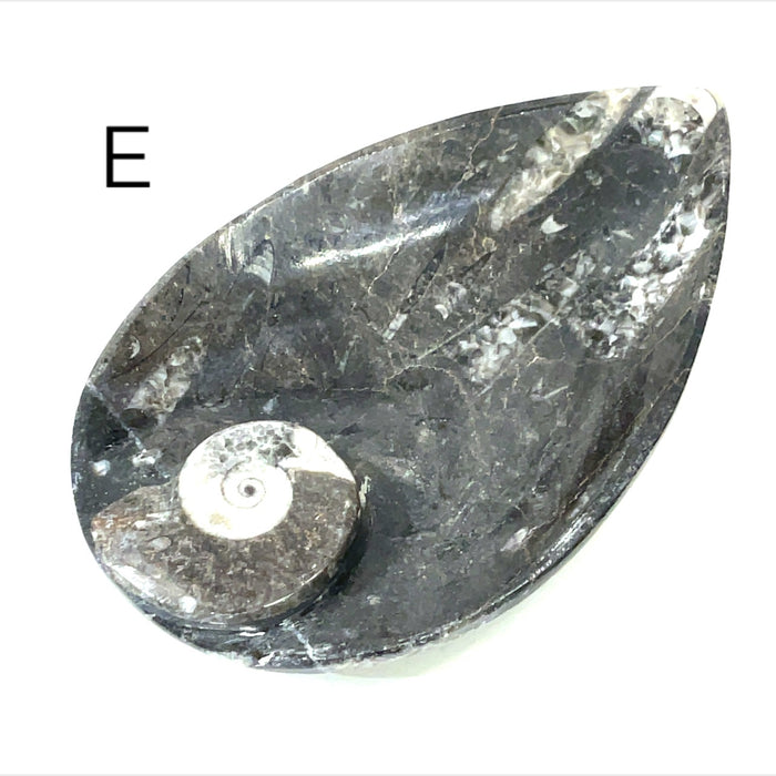 Tear drop #E (5.5'' x 3.5'' 230g)