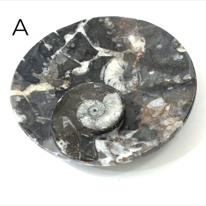 Circle plate #A (4'' 217g)