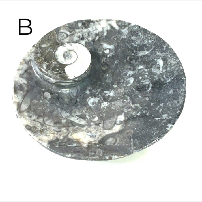 Circle plate #B (4'' 148g)