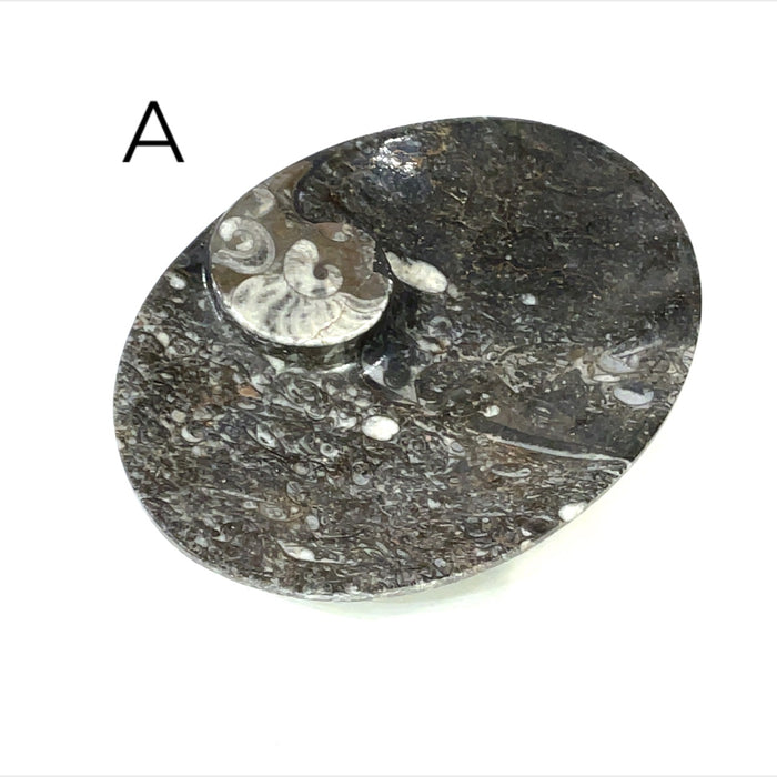 Oval Shape #A (4.75'' x 3.5''  170g)