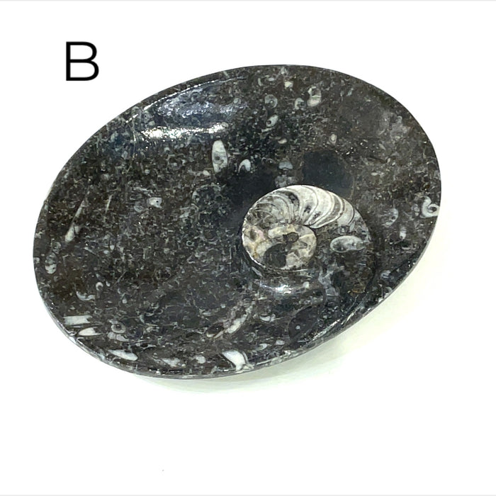 Oval Shape #B (4.75'' x 3.5" 174g)