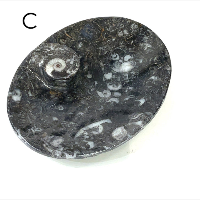 Oval Shape #C (4.75'' x 3.5" 171g)
