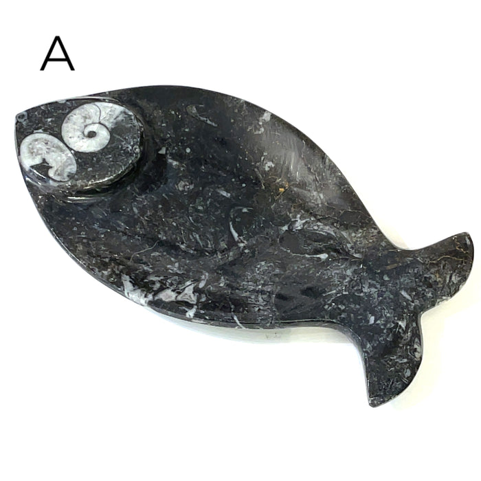 Fish #A (6.75'' x 3.5" 245g)