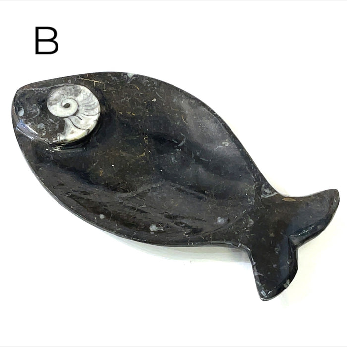 Fish #B (6.75'' x 3.5" 259g)