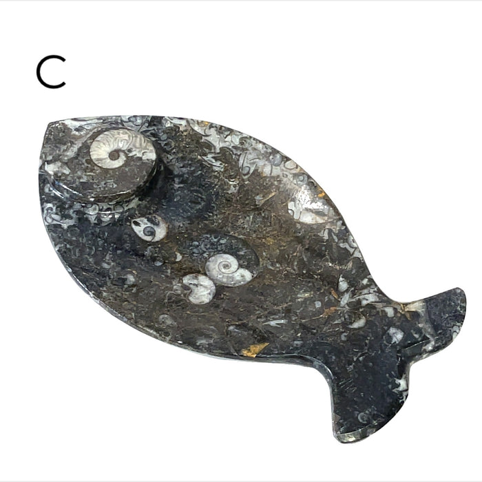 Fish #C (6.75'' x 3.5" 259g)