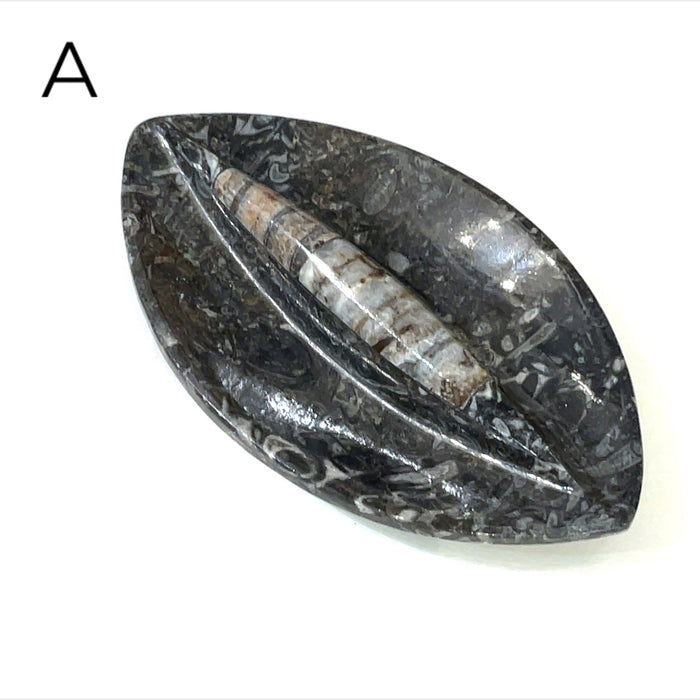Marquis Shape #A (5.25'' x 3'' 155g)