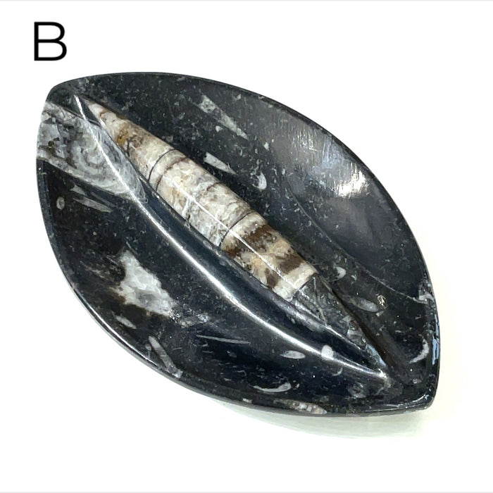 Marquis Shape #B (5.5'' x 3.25'' 178g)