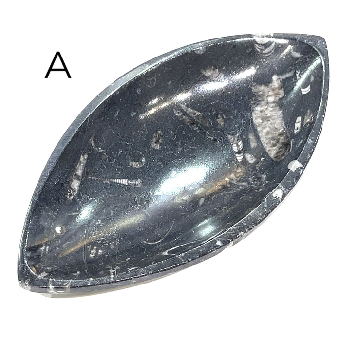 Marquis Shape #A (7.5'' x 4'' 249g)