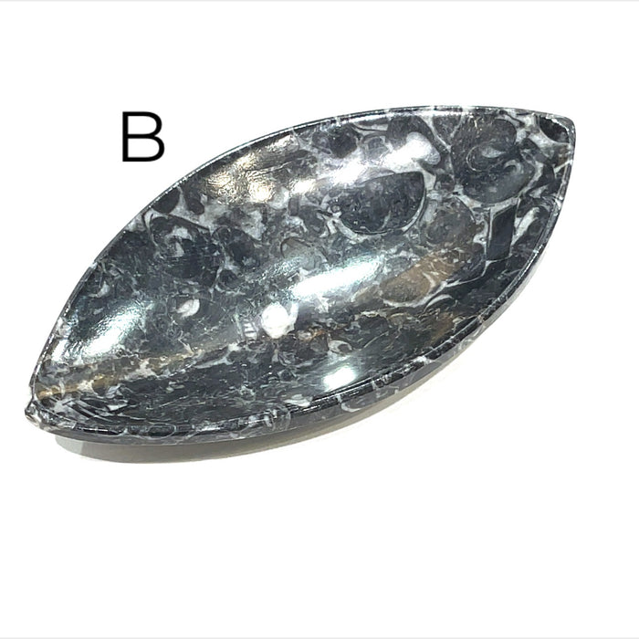 Marquis Shape #B (6.1'' x 3.1'' 176g)