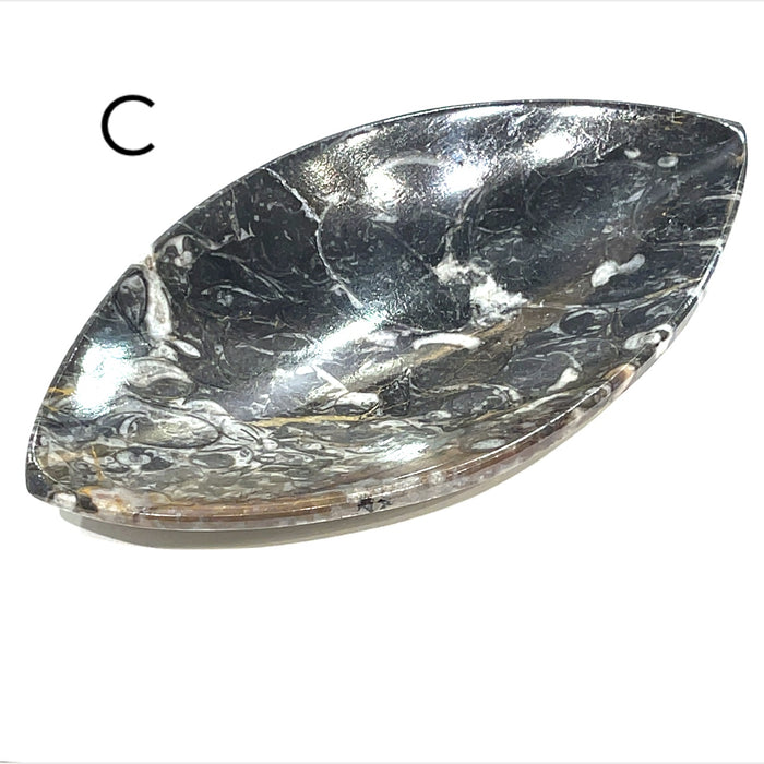 Marquis Shape #C (6'' x 3'' 151g)