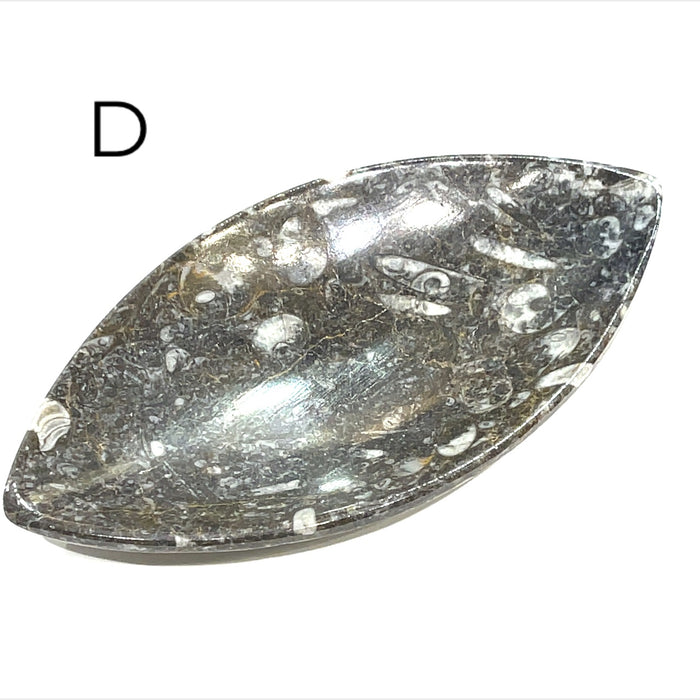 Marquis Shape #D (6.1'' x 3.1'' 164g)