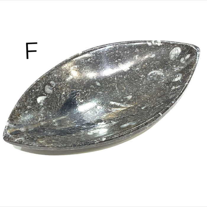 Marquis Shape #F (6.1'' x 3.1'' 166g)