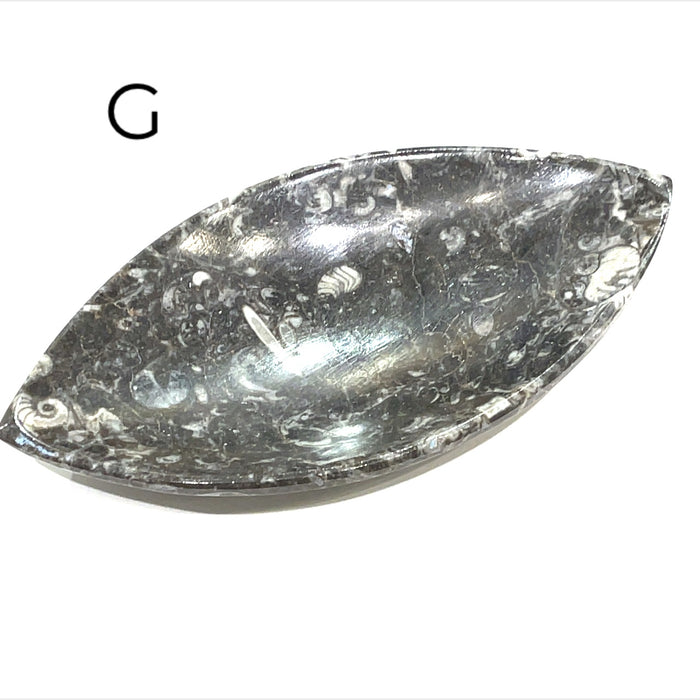 Marquis Shape #G (6.1'' x 3.1'' 179g)