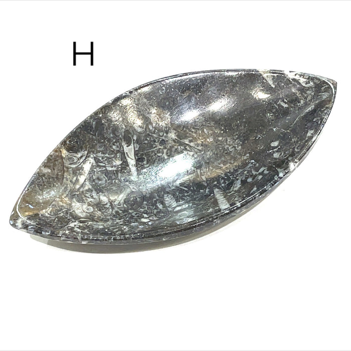 Marquis Shape #H (6'' x 3'' 167g)