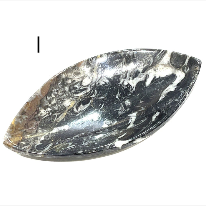 Marquis Shape #I (6'' x 3'' 134g)