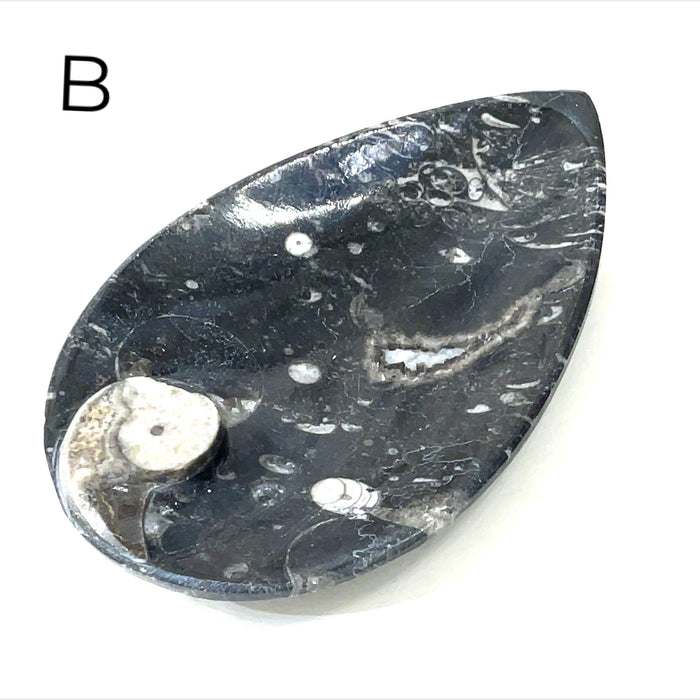 Tear drop #B (5.5'' x 3.5'' 189g)