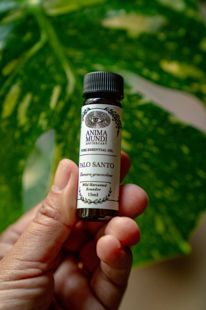 Hand holding a bottle of Anima Mundi Palo Santo essential oil against a green leafy background