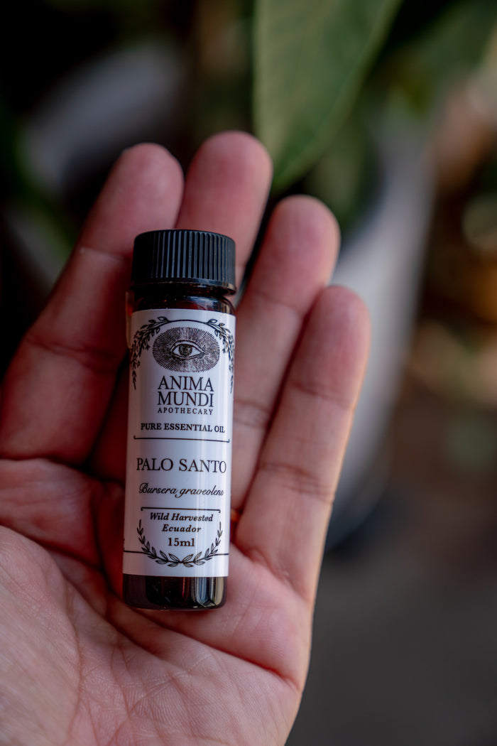 Anima Mundi Palo Santo essential oil bottle held in a hand with a blurred natural background