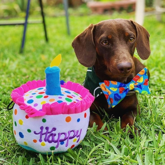 Party Time Bow Tie