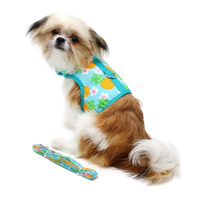 Pineapple Luau Vest Harness & Leash