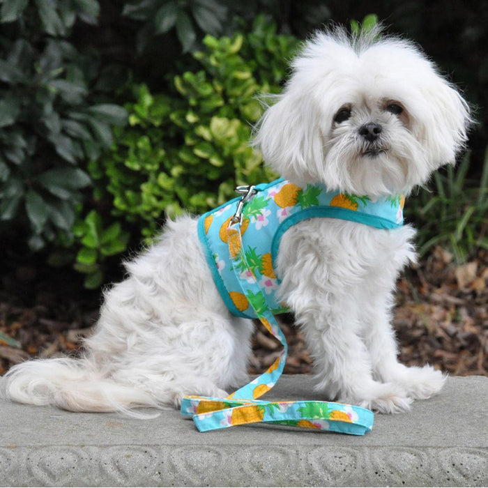 Pineapple Luau Vest Harness & Leash