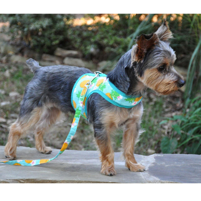 Pineapple Luau Vest Harness & Leash