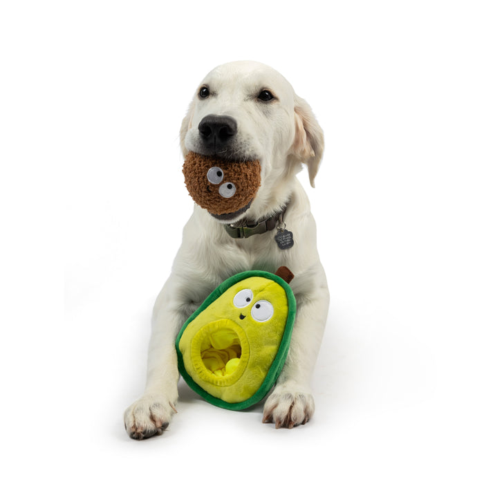 Dog with Pop 'n Fetch Avocado Dog Toy.