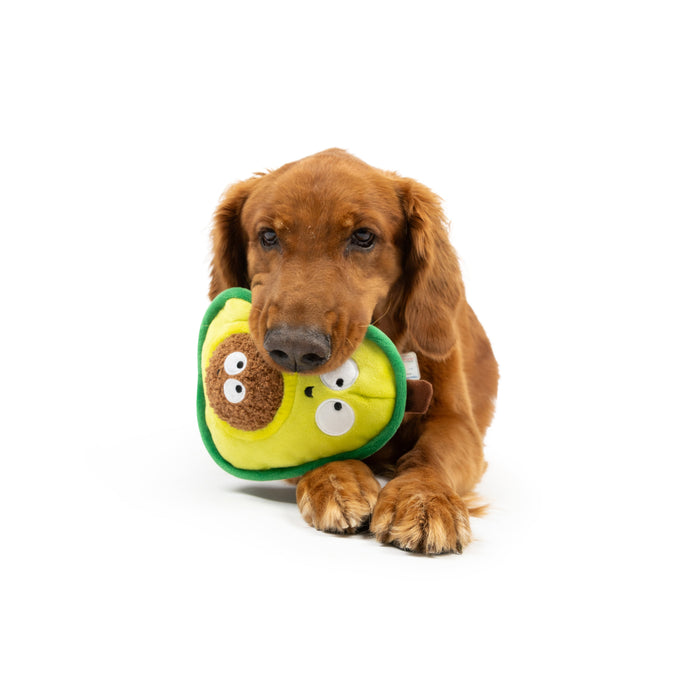 Pop 'n Fetch Avocado Dog Toy